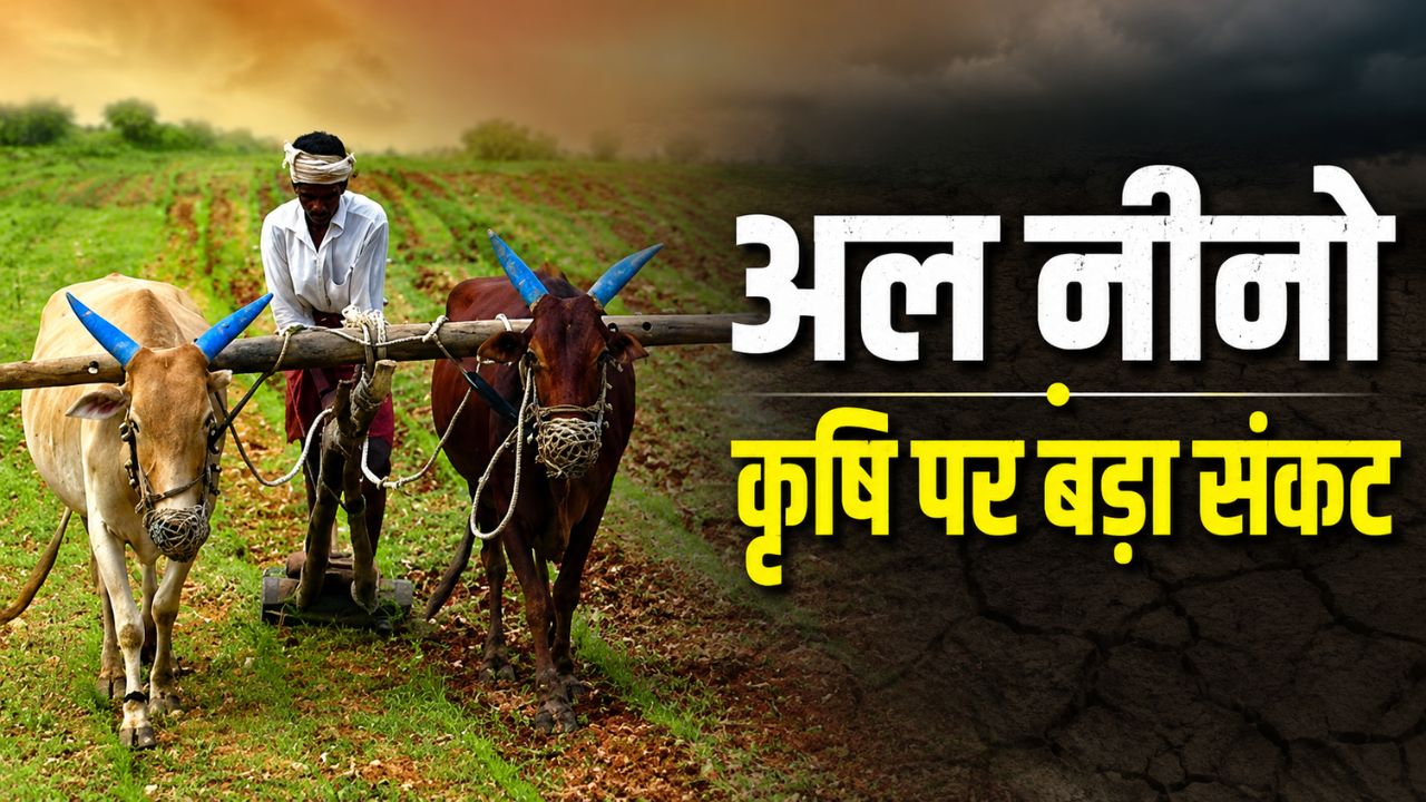 सूखा स्थिति के चलते खरीफ फसलों की बुवाई रोकने के निर्देश, इमर्जेंसी फसल मॉडल अपनाएंगे किसान