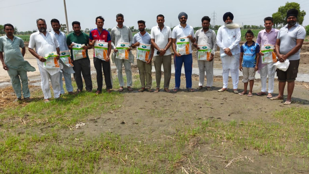 हाईब्रिड के नाम पर बेचा गया धान बीज घटिया निकला, कई एकड़ में अंकुरण नहीं होने पर किसानों का हंगामा 