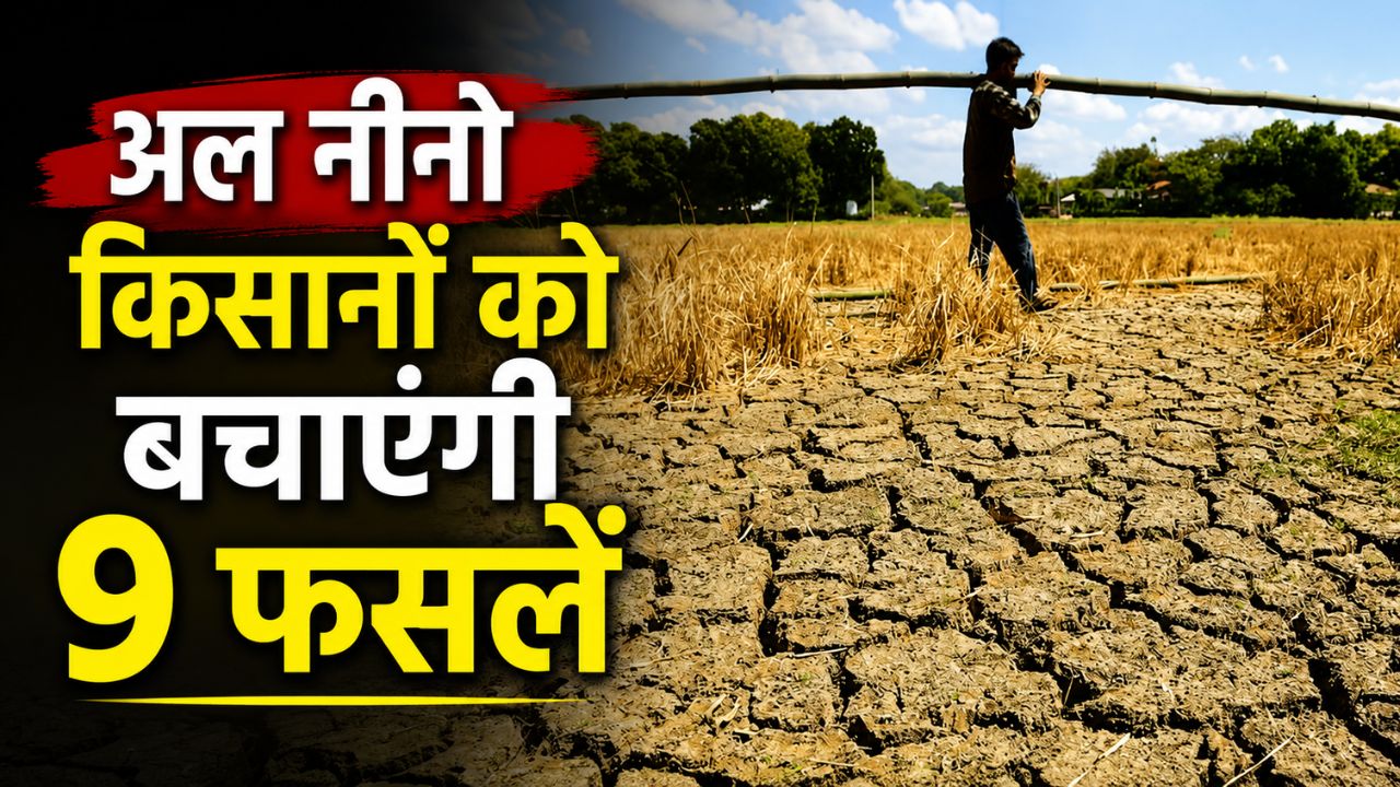 सूखे इलाकों में 9 फसलों की खेती का सुझाव, संकट से बचाने के लिए बीज और पैसे दे रही सरकार