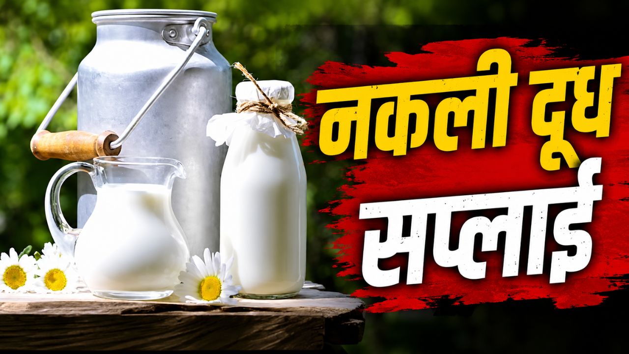 दूध उत्पादन 45 हजार लीटर फिर 80 हजार लीटर आपूर्ति कैसे? 35 हजार लीटर नकली दूध बिक्री दूध उत्पादन 45 हजार लीटर फिर 80 हजार लीटर आपूर्ति कैसे? 35 हजार लीटर नकली दूध बिक्री