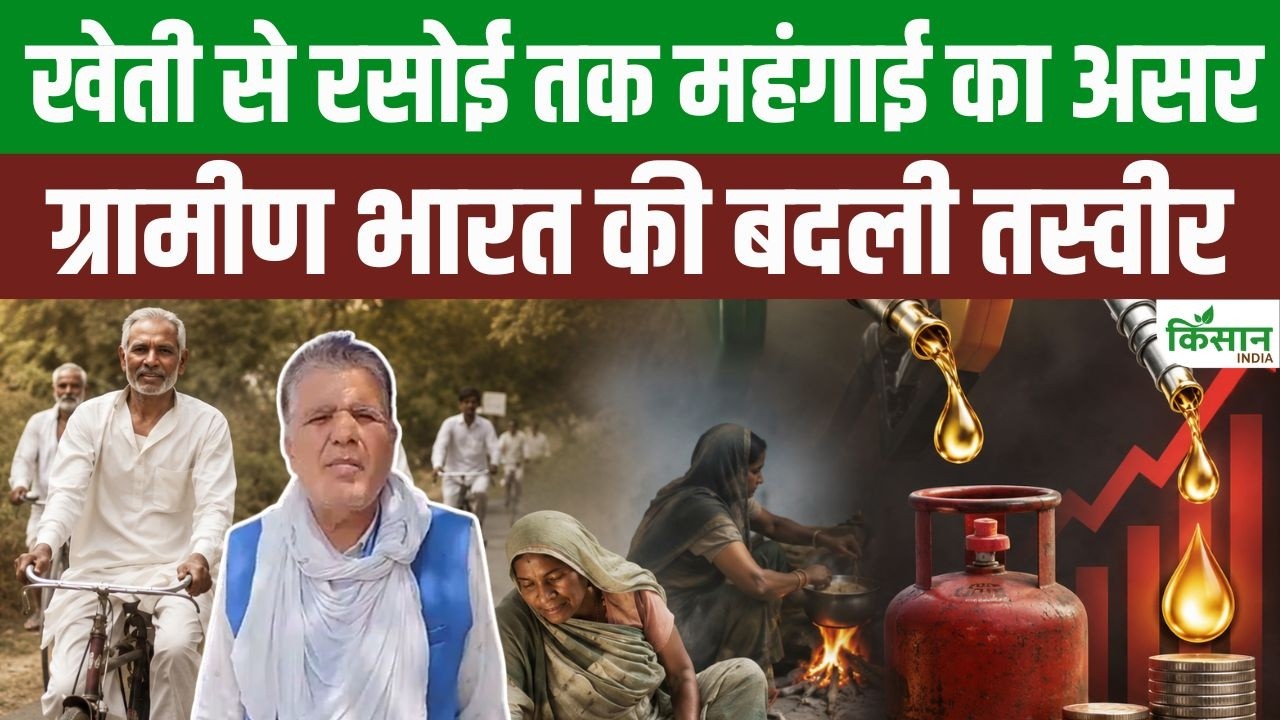 डीजल की बढ़ती कीमतों ने बदली खेती की तस्वीर, कई गांवों में फिर लौटे बैल और हल