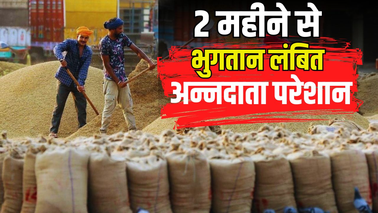 फसल खरीद बंद पर किसानों को अब तक नहीं मिले पैसे, 368 करोड़ के भुगतान का इंतजार