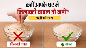 कहीं आप भी तो नहीं खा रहे मिलावटी चावल? घर बैठे मिनटों में करें पहचान, जानें आसान तरीका