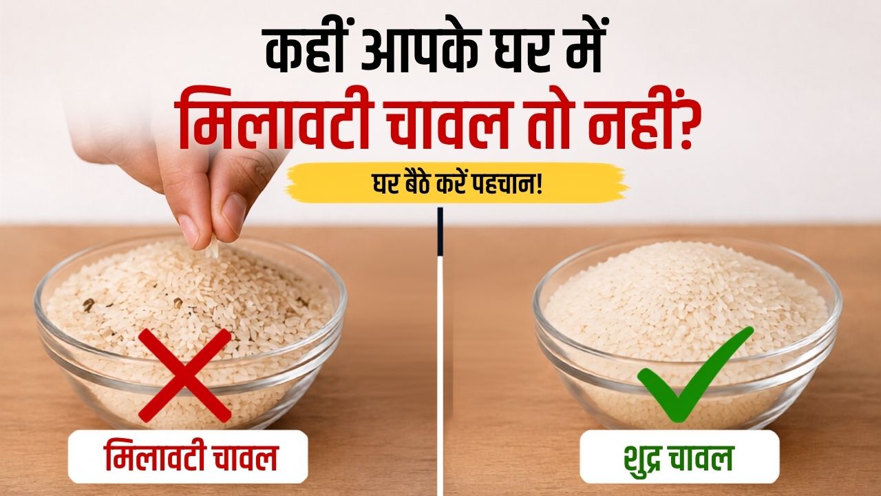 कहीं आप भी तो नहीं खा रहे मिलावटी चावल? घर बैठे मिनटों में करें पहचान, जानें आसान तरीका
