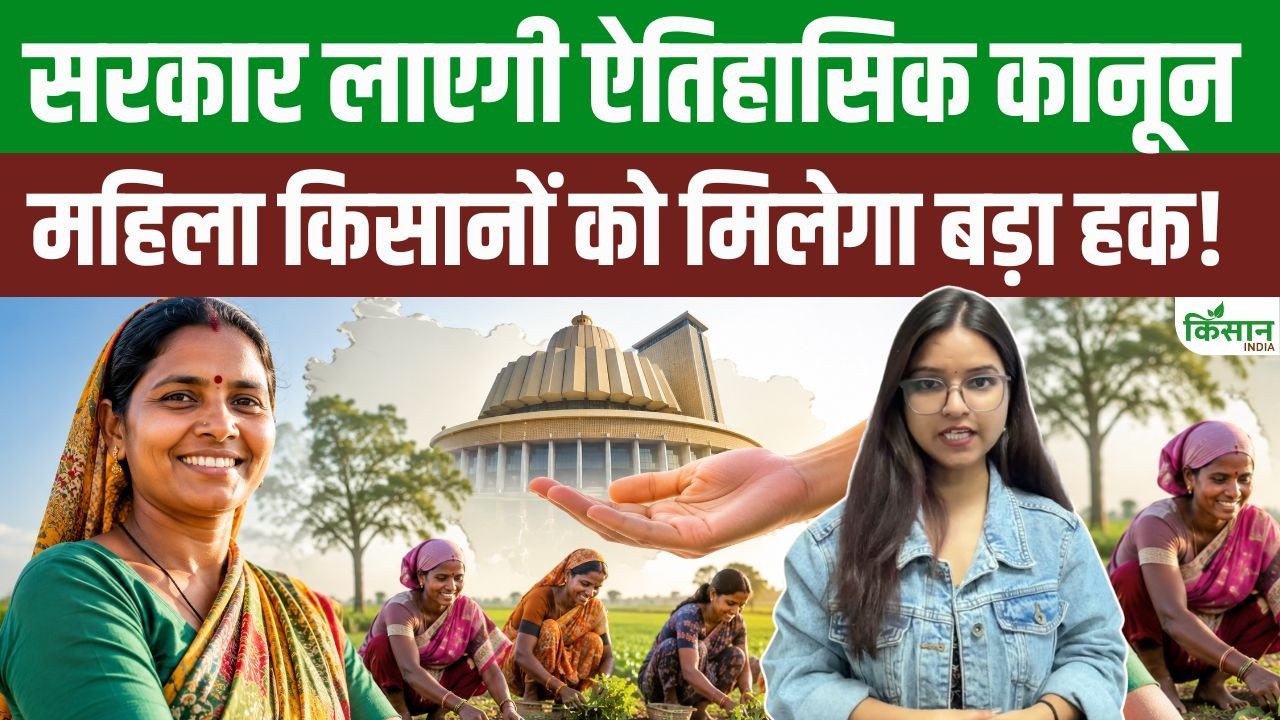 महिला किसानों के लिए बड़ी खुशखबरी! महाराष्ट्र सरकार के नए कानून से मिलेगा पहचान और सम्मान