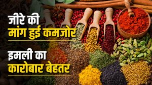 मसाला निर्यात को झटका, एक्सपोर्ट में 6 फीसदी की गिरावट.. जीरा ने बिगाड़ा खेल मसाला निर्यात को झटका, एक्सपोर्ट में 6 फीसदी की गिरावट.. जीरा ने बिगाड़ा खेल