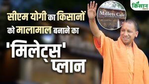 CM Yogi का बड़ा मास्टर प्लान, Millets Cafe से बढ़ेगी मोटे अनाज की मांग, किसानों की आय होगी दोगुनी CM Yogi का बड़ा मास्टर प्लान, Millets Cafe से बढ़ेगी मोटे अनाज की मांग, किसानों की आय होगी दोगुनी
