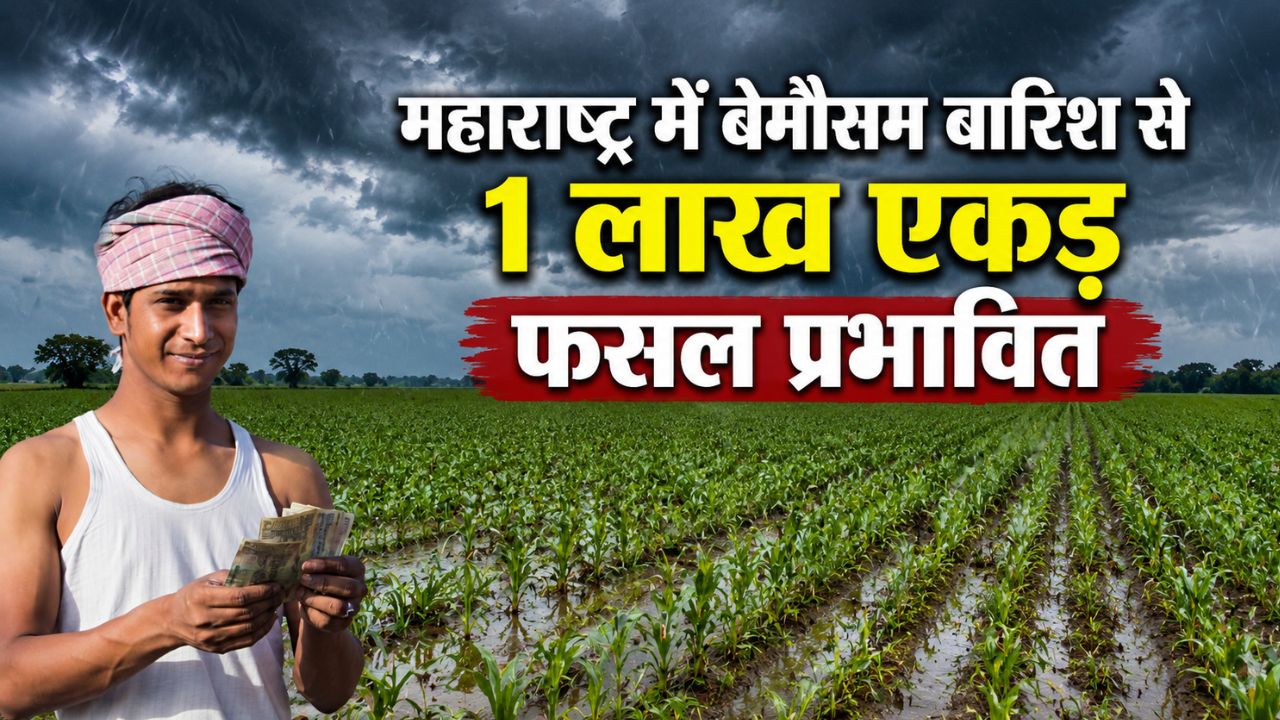 किसानों को राहत ! सरकार ने गिरदावरी करने के दिए निर्देश.. फसल नुकसान का मिलेगा मुआवजा