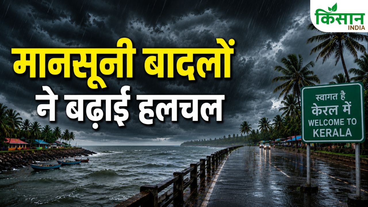 मॉनसून की एंट्री पर IMD का अपडेट.. केरल में जोरदार बारिश की चेतावनी, कृषि मंत्रालय अलर्ट