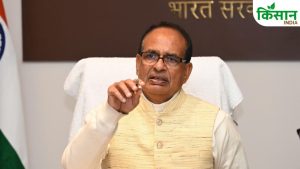 अब मोबाइल ऐप बताएगी कितनी खाद का इस्तेमाल होगी, फोटो अपलोड करते ही मिलेगी पूरी डिटेल्स अब मोबाइल ऐप बताएगी कितनी खाद का इस्तेमाल होगी, फोटो अपलोड करते ही मिलेगी पूरी डिटेल्स