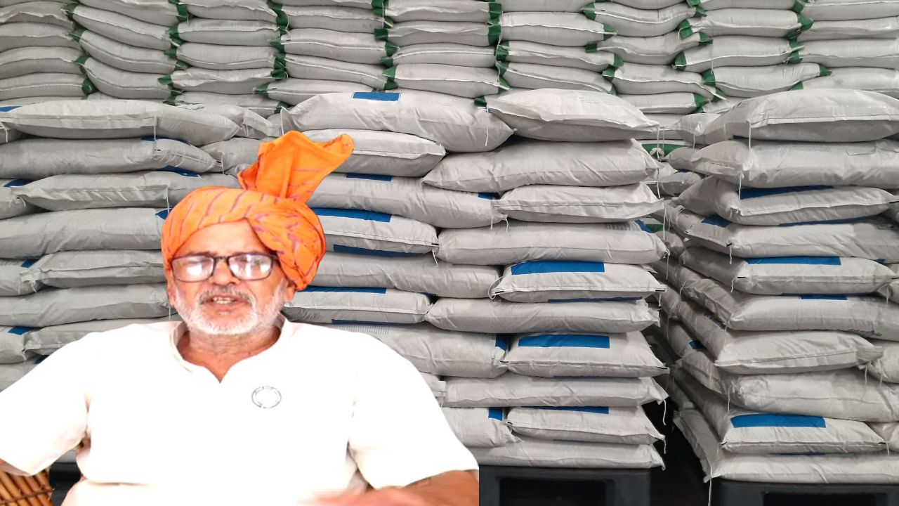 DAP-यूरिया पर हर साल हजारों खर्च? ढैंचा की ये हरी खाद बना सकती है खेती को सस्ता