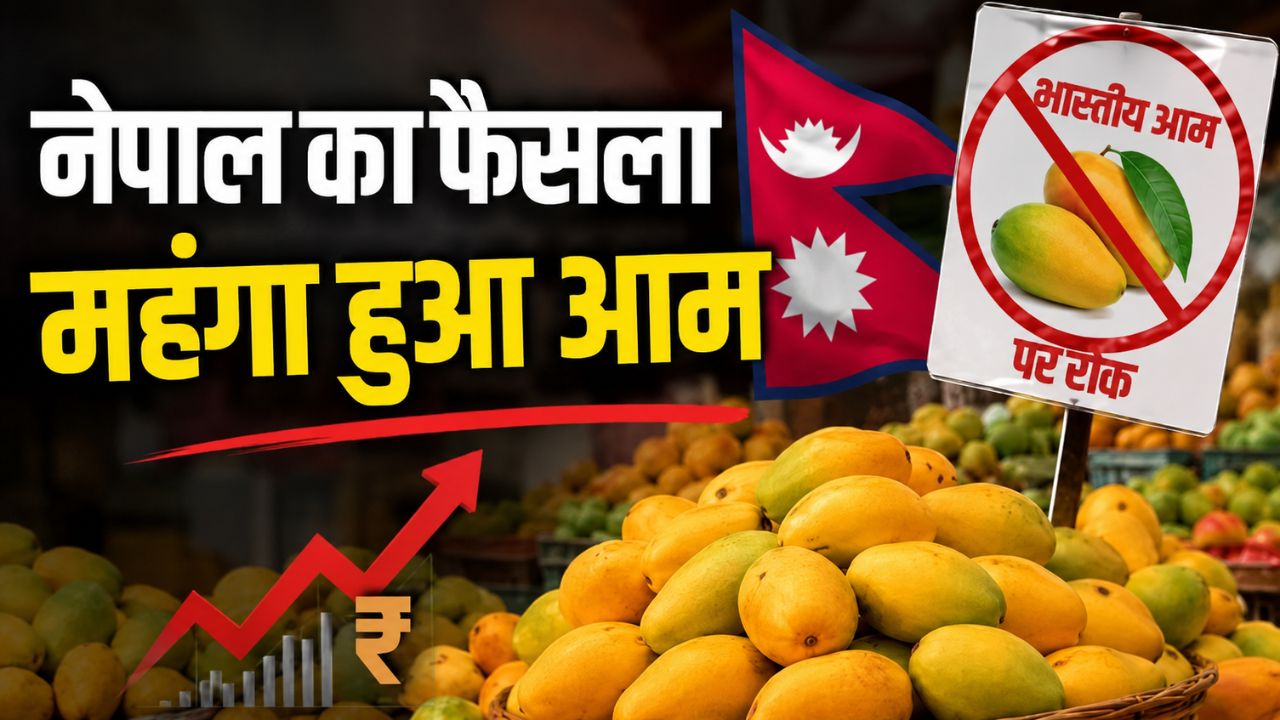 नेपाल ने भारतीय आमों पर लगाई रोक…बाजार में बढ़ी चिंता, कीमतों में उछाल का खतरा