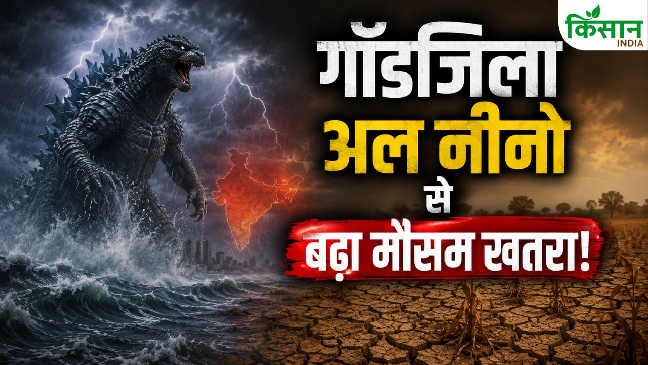 गॉडजिला अल नीनो से भारत में बढ़ा खतरा, कमजोर मॉनसून और खेती पर मंडराया बड़ा संकट