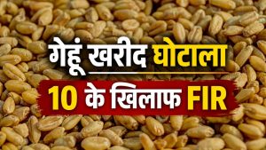 MP में 1.37 करोड़ का गेहूं घोटाला, गोदाम से 5167 क्विंटल अनाज गायब.. FIR दर्ज MP में 1.37 करोड़ का गेहूं घोटाला, गोदाम से 5167 क्विंटल अनाज गायब.. FIR दर्ज