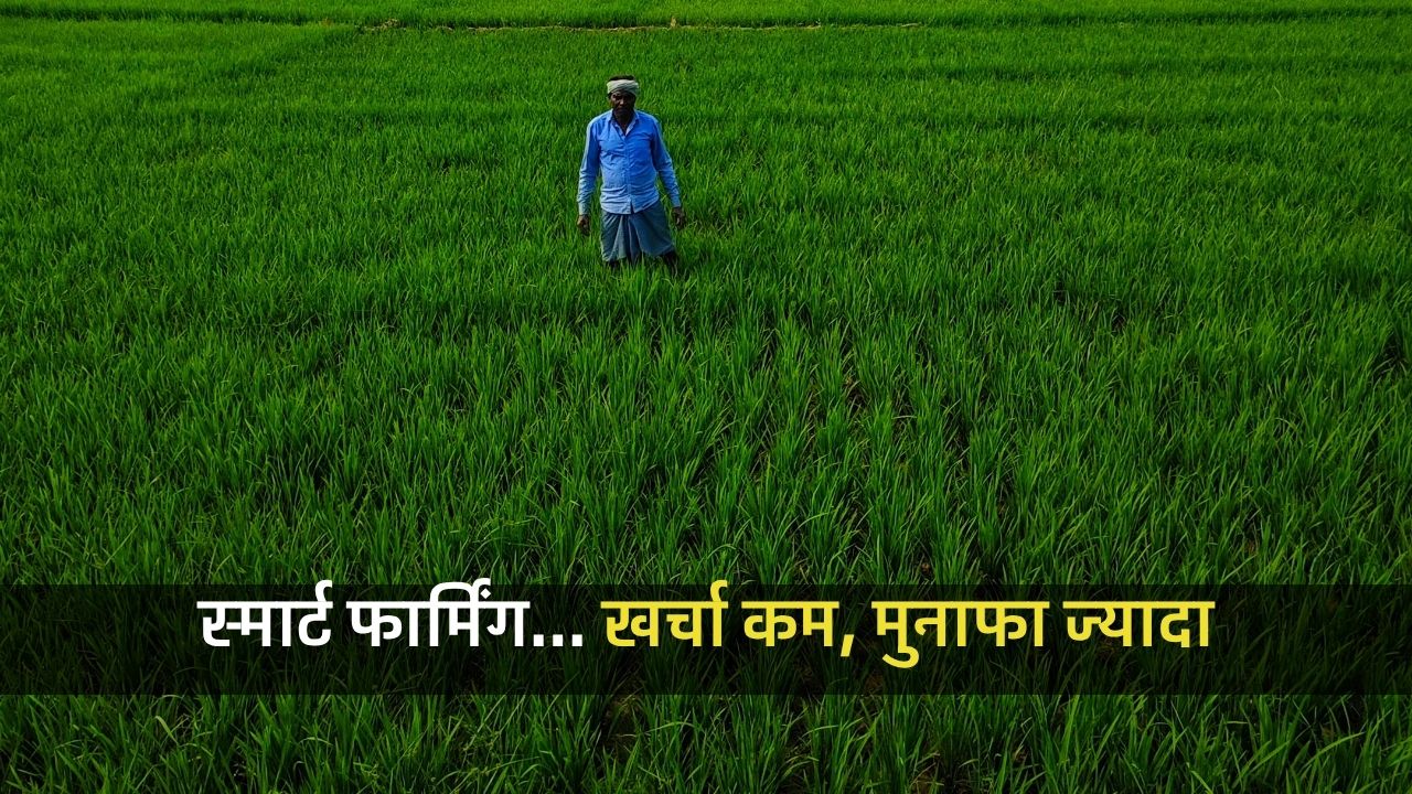 क्लाइमेट स्मार्ट खेती से 23 फीसदी बढ़ी किसानों की आय, लागत 20 फीसदी कम घटी… ITC का दावा