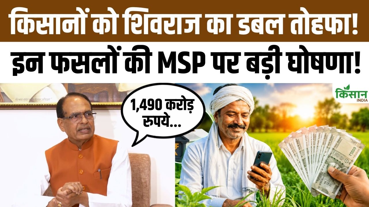 शिवराज सिंह चौहान का किसानों को डबल तोहफा, MSP खरीद और PM किसान योजना पर बड़ा ऐलान