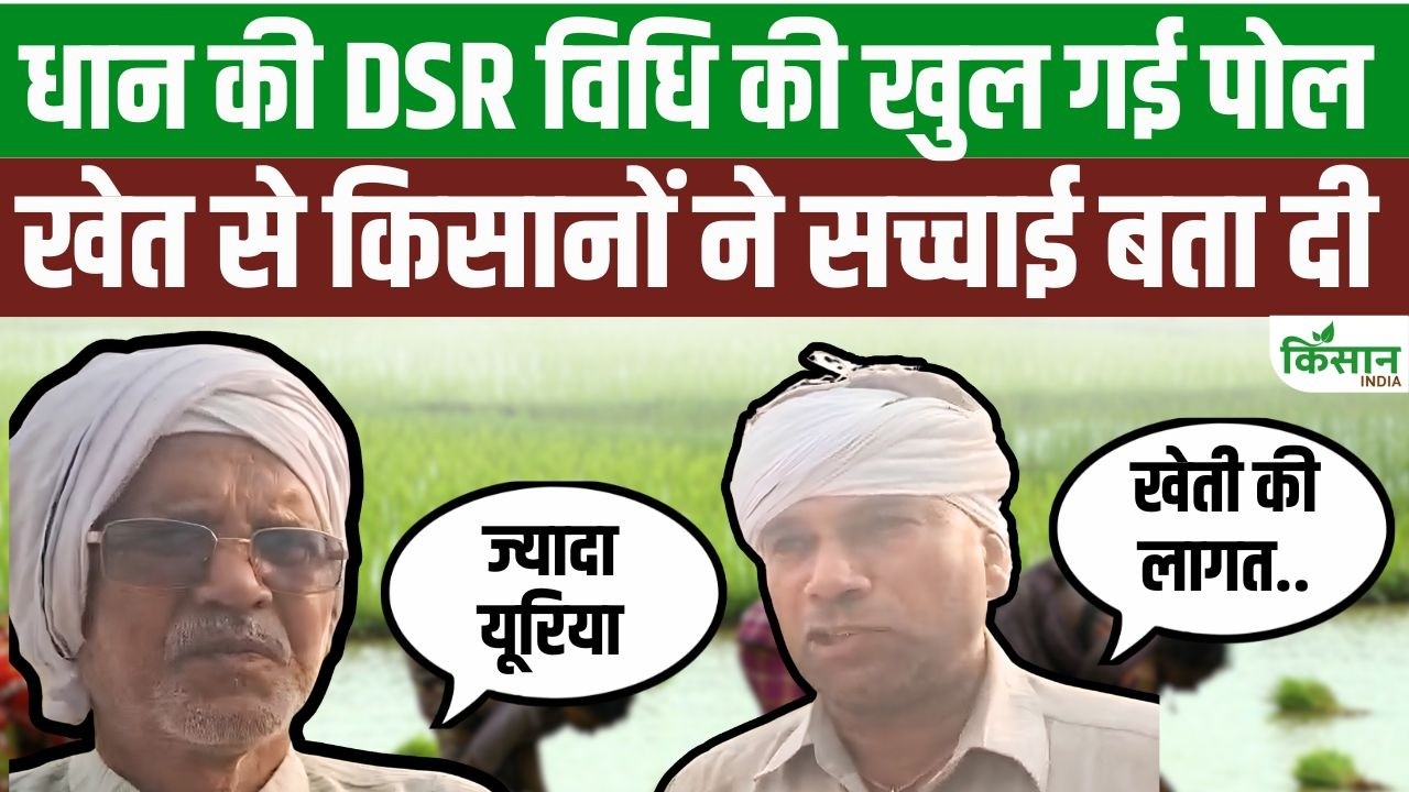 किसानों का गुस्सा फूटा, DSR तकनीक में पानी बचत का दावा निकला पूरी तरह गलत साबित होने का आरोप