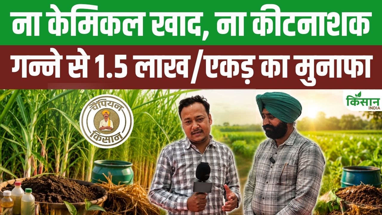 सफल किसान की अनोखी मिसाल! प्राकृतिक तरीके से गन्ना उगाकर प्रति एकड़ 1.5 लाख की कमाई