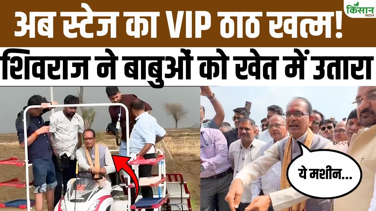 Shivraj Singh Chouhan: शिवराज ने बाबुओं को खेत में उतारा! देखिए धान लगाने की नई मशीन का लाइव डेमो