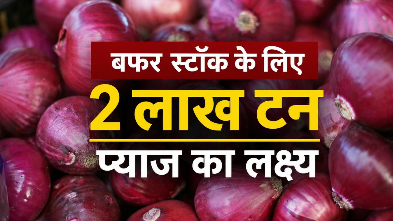 किसानों को राहत, सरकार ने बढ़ाया प्याज का खरीद रेट.. 24.4 फीसदी की बढ़ोतरी