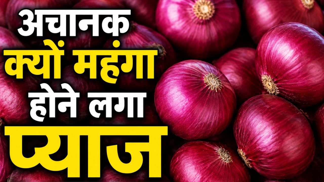 लासलगांव मंडी में प्याज महंगा, कीमतों 18 फीसदी बढ़ोतरी.. क्या रिटेल मार्केट पर पड़ेगा असर ?