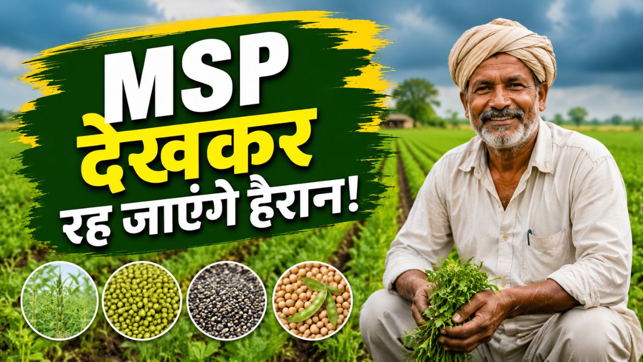 Kharif Crops: धान छोड़ इन फसलों की करें खेती, MSP सुनकर चौंक जाएंगे किसान