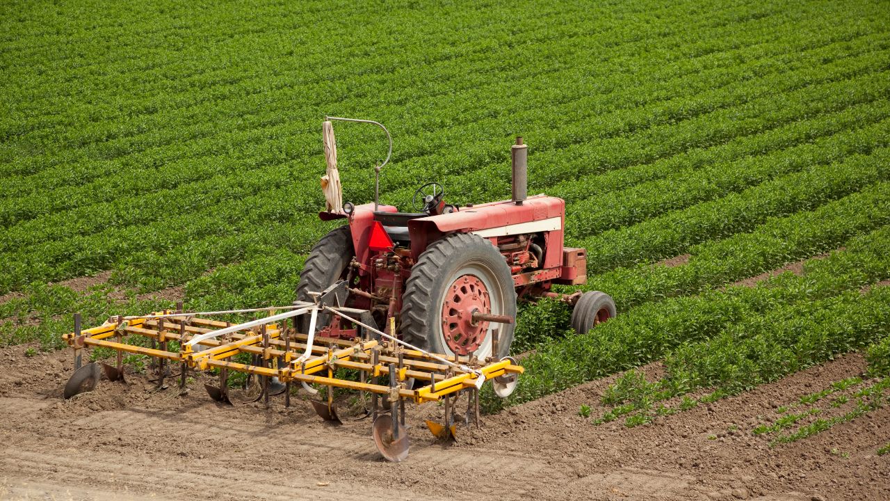 Crop Insurance: फसल बीमा करवाने के बाद न करें ये गलती, वरना क्लेम हो सकता है खारिज