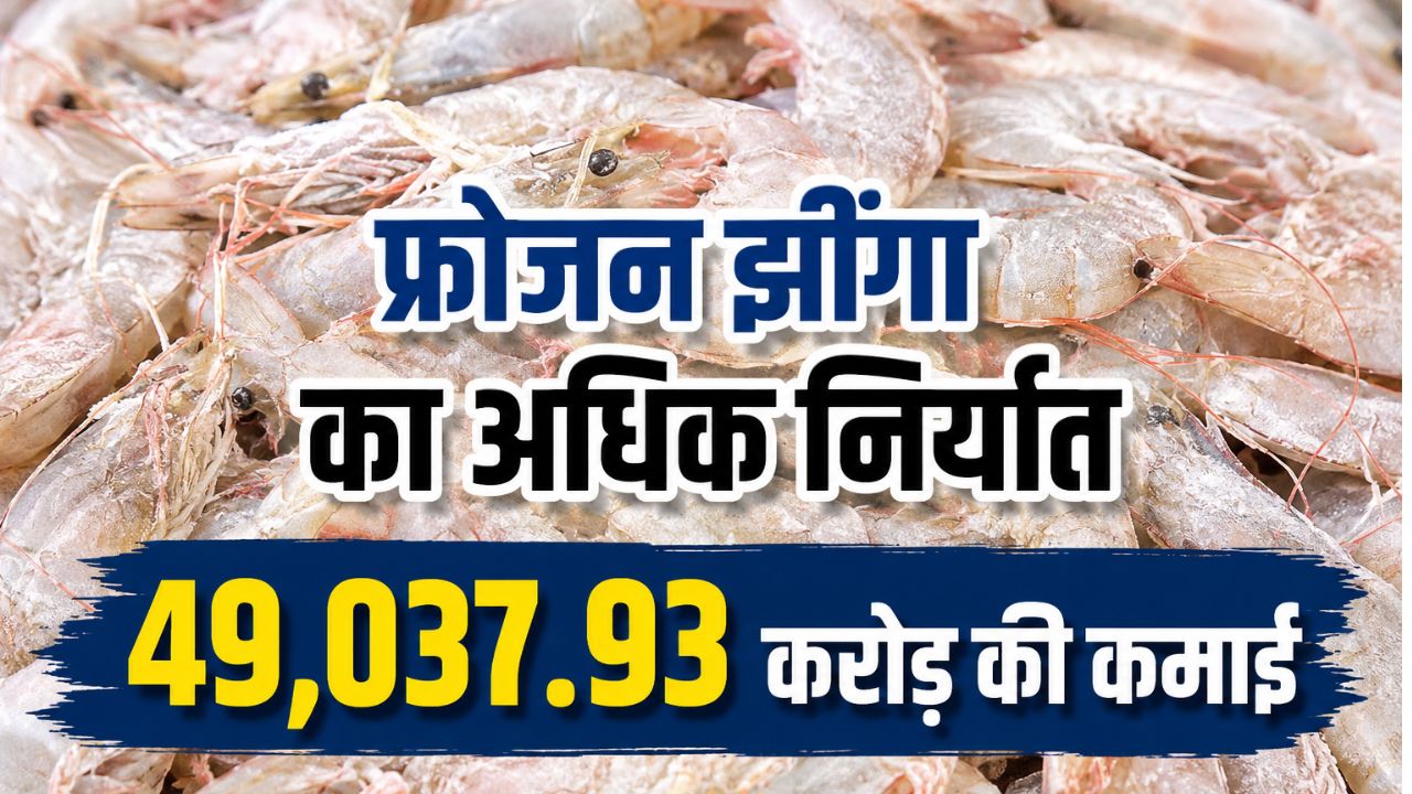 सी फूड निर्यात में दुनिया का किंग बना भारत, एक साल में 73890 करोड़ की कमाई.. अमेरिका सबसे बड़ा खरीदार