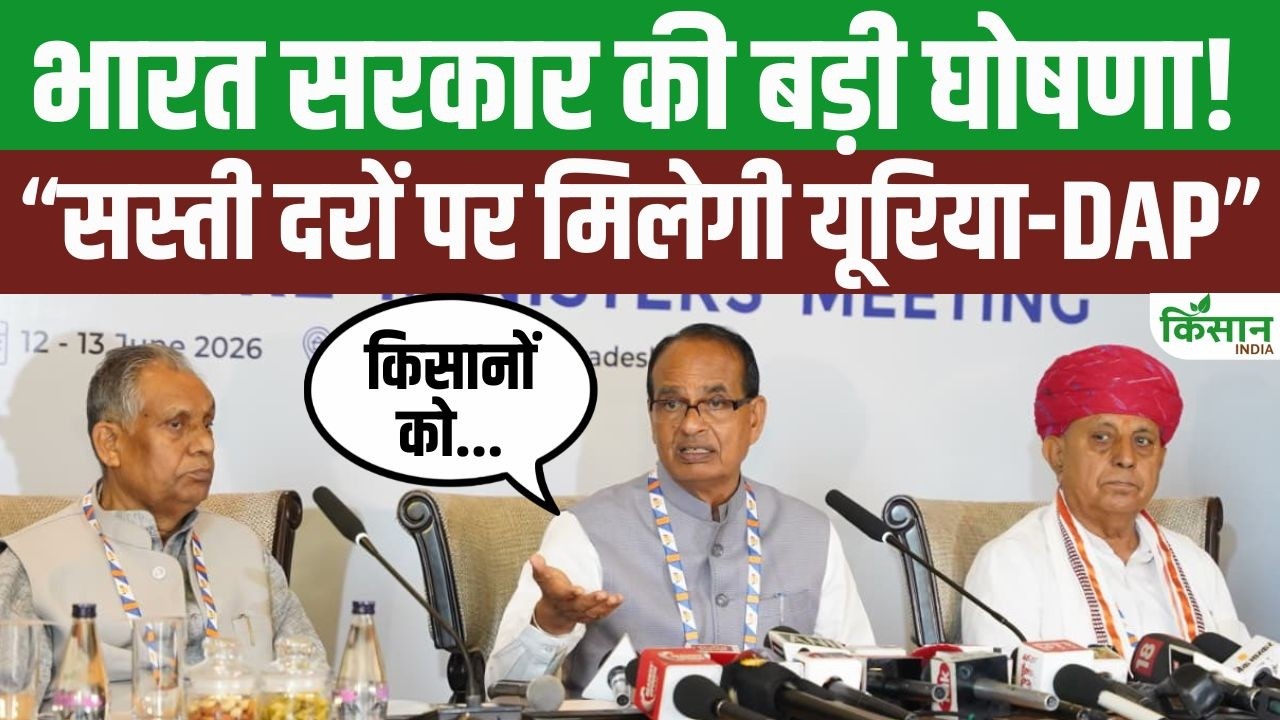 किसानों को बड़ी राहत! यूरिया-DAP के दाम नहीं बढ़ेंगे, पूरा अतिरिक्त बोझ उठाएगी सरकार