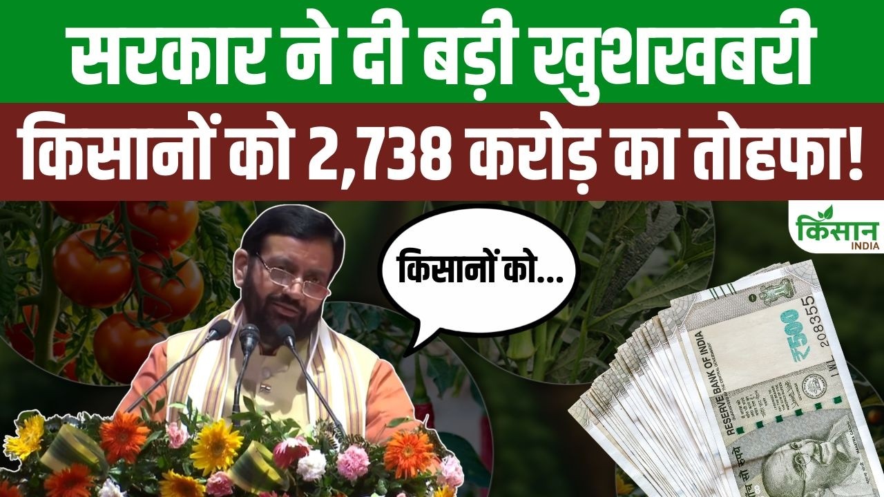 विश्व पर्यावरण दिवस पर हरियाणा का बड़ा तोहफा, किसानों और बागवानों को मिलेगी 2738 करोड़ रुपये की सहायता