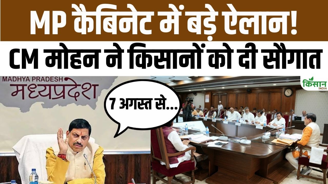 CM मोहन यादव का किसानों को बड़ा तोहफा! कैबिनेट बैठक में करोड़ों के फैसलों पर लगी मुहर