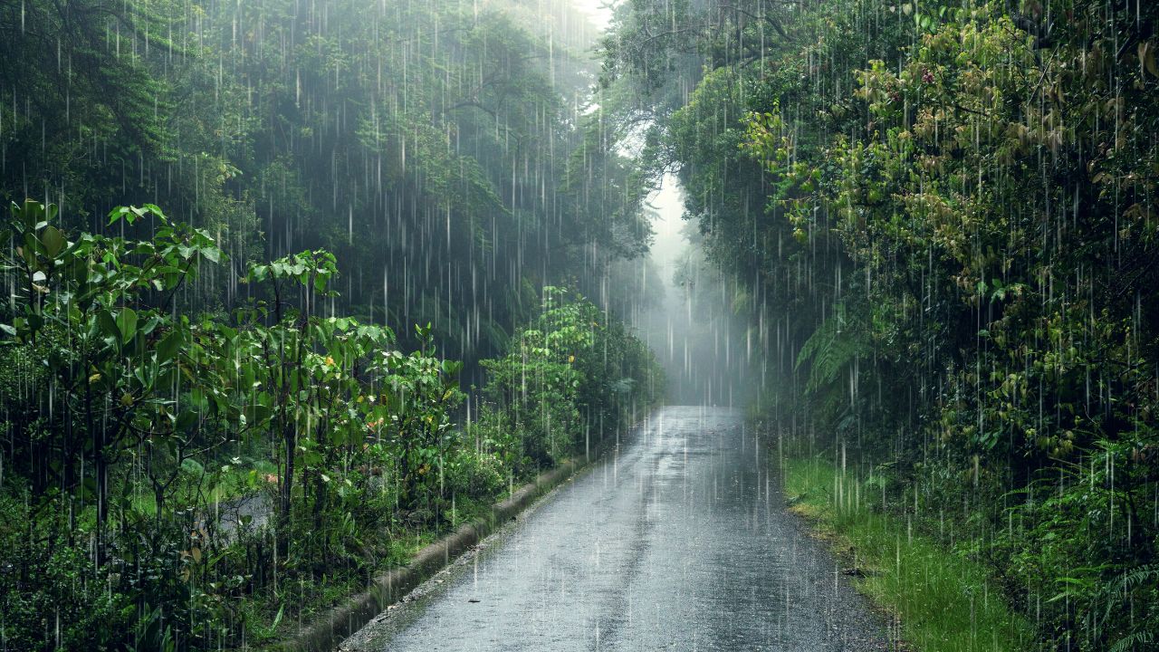बिहार-झारखंड में भारी बारिश का अलर्ट, इन राज्यों में 20 जुलाई तक रुक-रुक कर बरसेंगे बादल