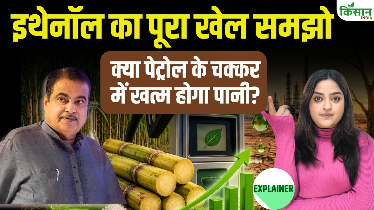 थाली का चावल बनेगा गाड़ियों का ईंधन? E20 नीति पर उठे सवाल, क्या भारत में बढ़ेगा खाद्य संकट का खतरा