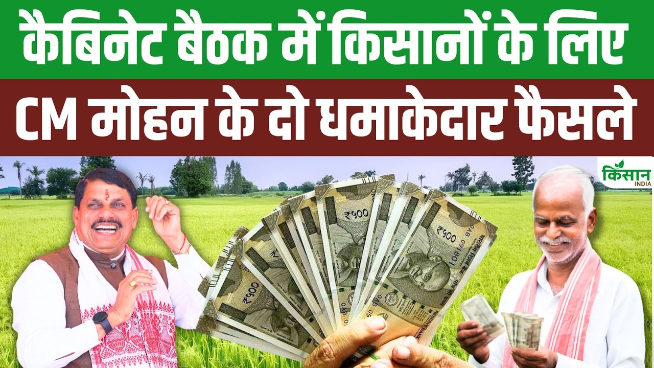 MP Cabinet का बड़ा फैसला, किसानों और महिलाओं को मिली सौगात, CM मोहन यादव ने किए कई अहम ऐलान