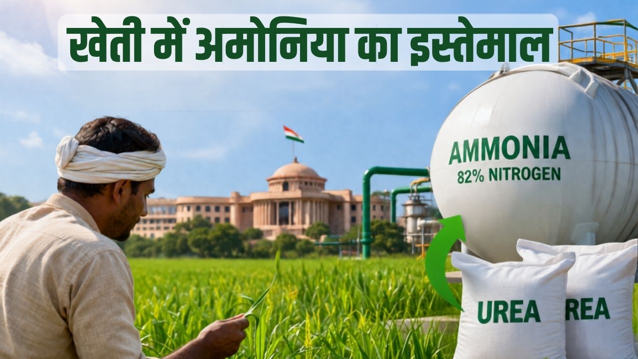 यूरिया आयात पर निर्भरता घटाने की तैयारी, सरकार ने खेती में अमोनिया के इस्तेमाल को दी मंजूरी