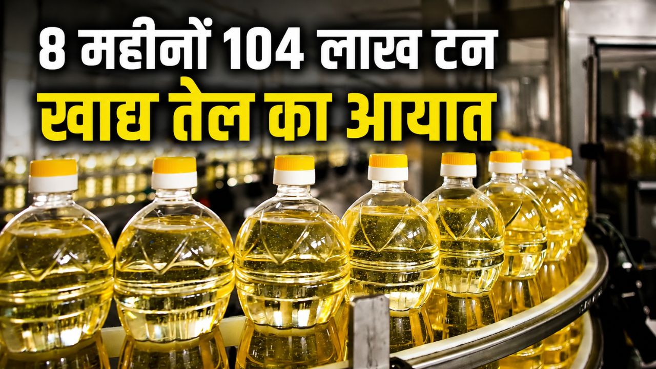 खाद्य तेल आयात का नया रिकॉर्ड! 1.75 लाख करोड़ रुपये पहुंचेगा बिल.. 20 फीसदी तक बढ़ा खर्च
