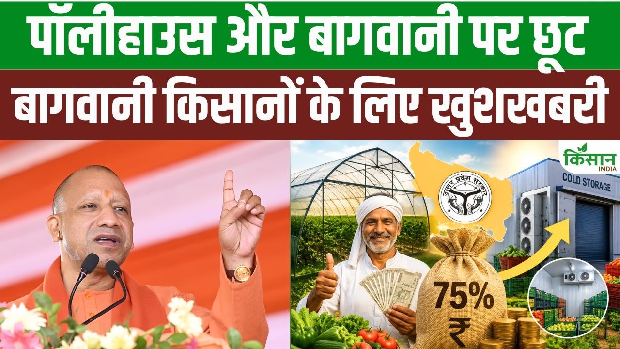 उत्तर प्रदेश के किसानों को सौगात, पॉलीहाउस और कोल्ड स्टोरेज पर मिलेगी 75 फीसदी सब्सिडी