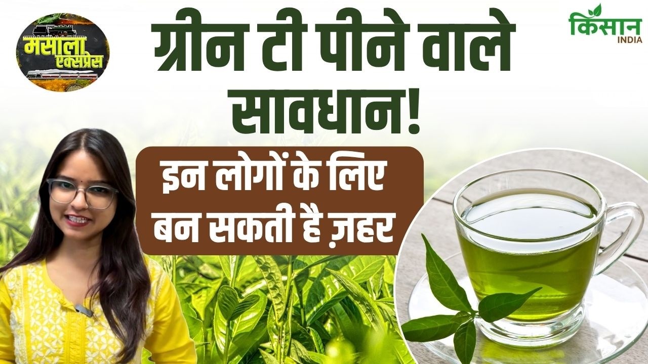 ग्रीन टी पीने से पहले जान लें ये सच, कुछ लोगों के लिए फायदे नहीं बल्कि नुकसान का कारण बन सकती ग्रीन टी पीने से पहले जान लें ये सच, कुछ लोगों के लिए फायदे नहीं बल्कि नुकसान का कारण बन सकती