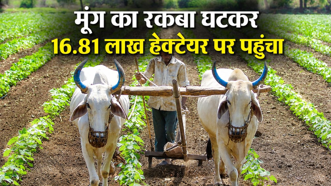 खरीफ बुवाई ने पकड़ी रफ्तार, 350 लाख हेक्टेयर के पार पहुंचा रकबा.. धान के रकबे में गिरावट