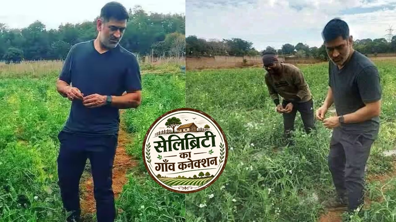 Birthday Special: ट्रैक्टर चलाते हैं, कड़कनाथ मुर्गी पालते हैं… धोनी की खेती वाली दुनिया कर देगी हैरान