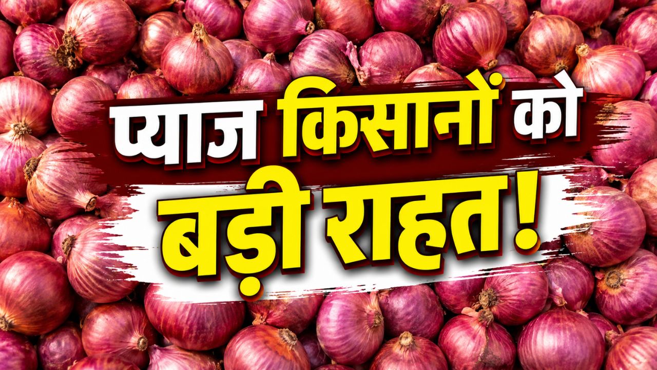 प्याज खरीद कीमत में छठी बार बढ़ोतरी, अब 23.35 रुपये किलो होगी सरकारी खरीदी