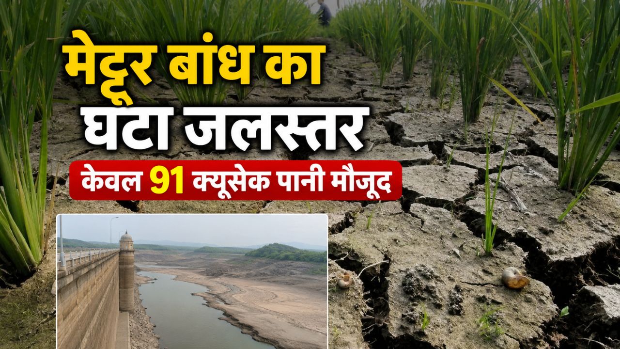 6 लाख एकड़ पर मंंडराया खतरा, किसान नहीं कर पा रहे धान की खेती.. टेंशन में अन्नदाता
