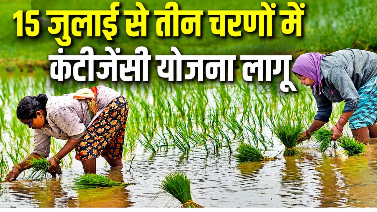 अल नीनो अलर्ट! धान की खेती घटाएगी सरकार, 50 लाख एकड़ में वैकल्पिक फसलों पर जोर