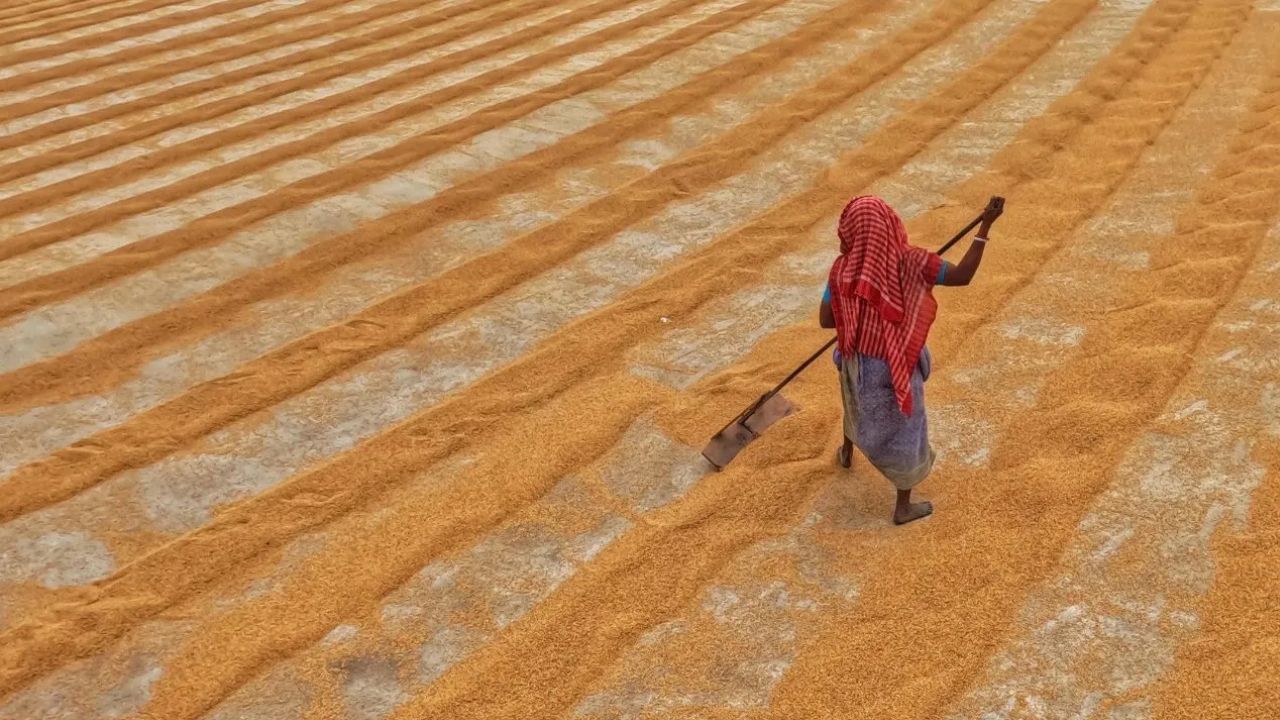 धान खरीद के तीन महीने बीत जाने के बाद भी नहीं हुआ भुगतान, आर्थिक संकट से जूझ रहे किसान