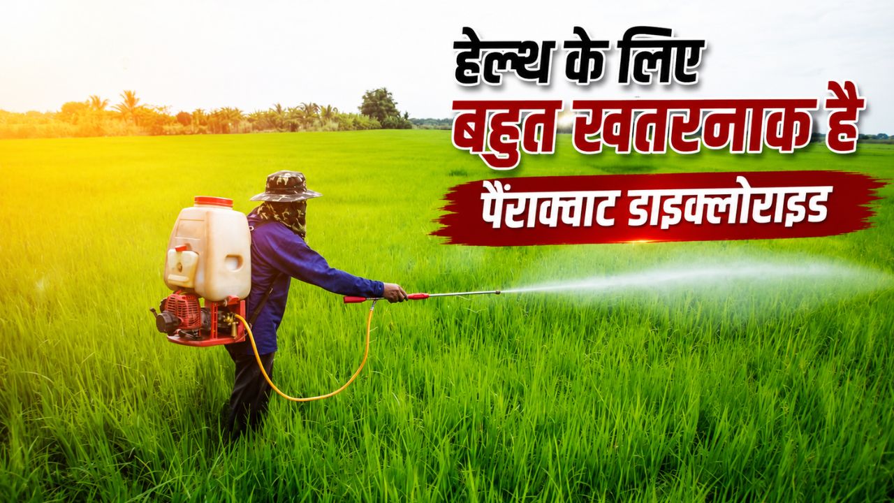 केंद्र ने जारी किया नोटिफिकेशन, इस कीटनाशक के आयात, निर्माण, बिक्री और इस्तेमाल पर लगेगा बैन