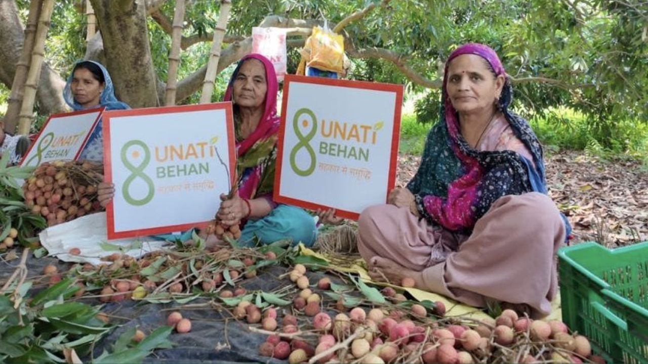 दुनियाभर को पसंद आ रहे भारतीय फल, पंजाब की लीची और हिमाचल की चेरी, प्लम की पहली खेप भेजी गई