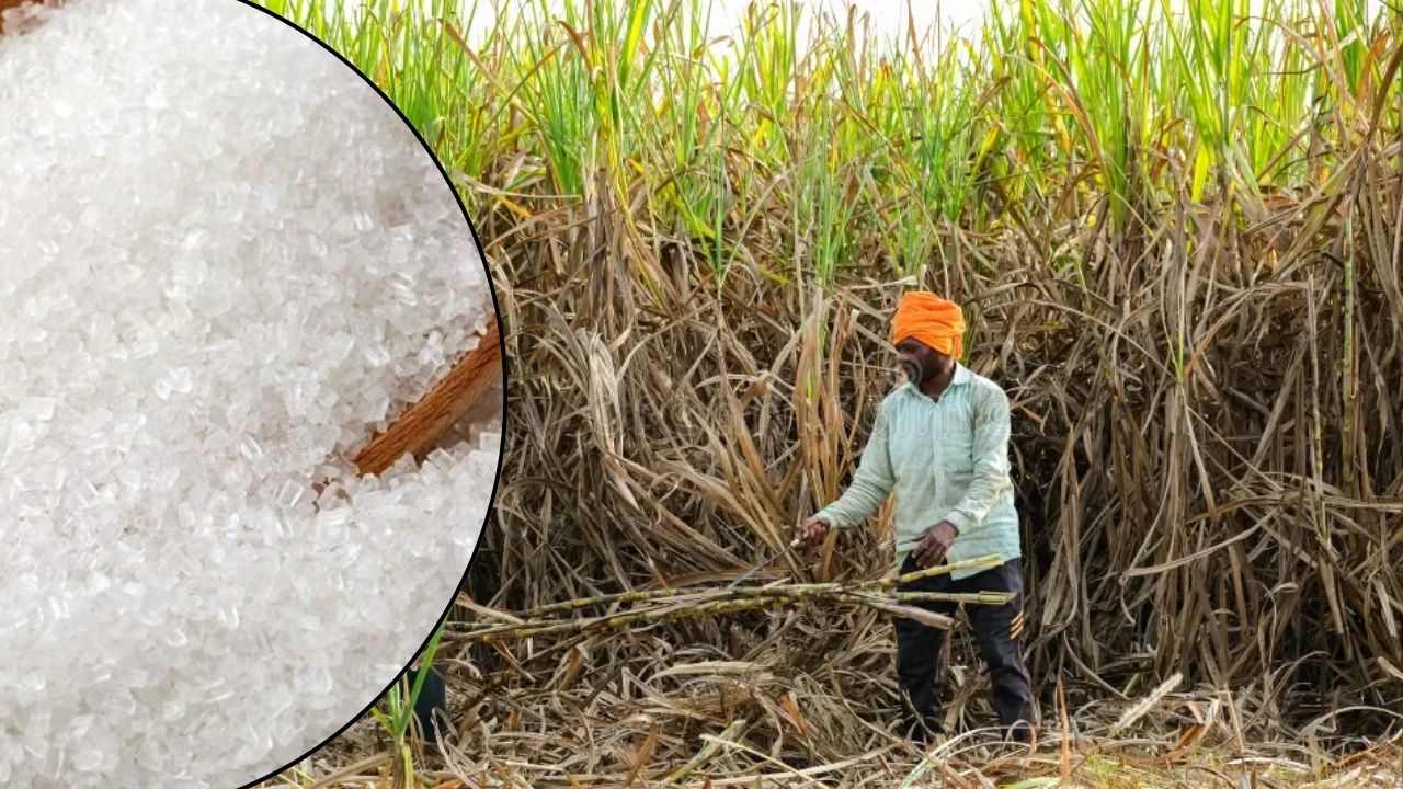 विधानसभा में गूंजा चीनी का MSP और इथेनॉल मूल्य बढ़ाने का मुद्दा, किसानों और मिलों का संकट दूर होगा?