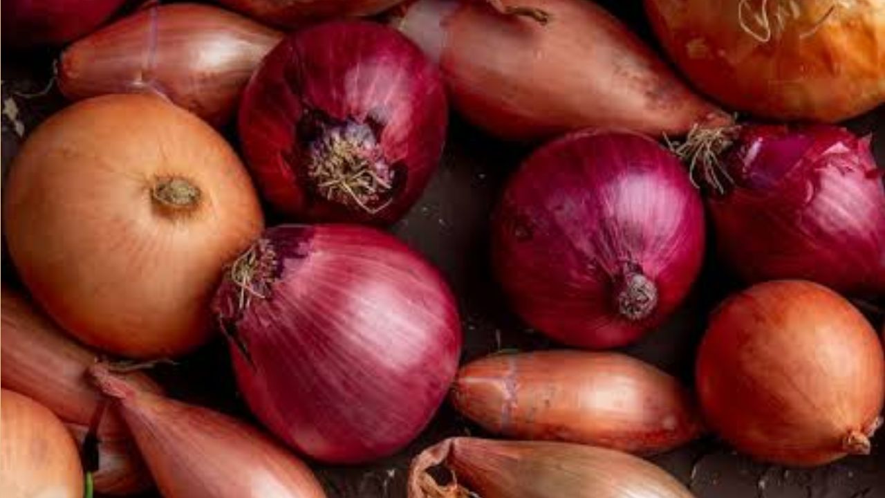Onion Price: प्याज की 5वीं बार कीमत बढ़ी पर खरीद केवल 5 फीसदी हो सकी, महंगाई का झटका लगेगा?