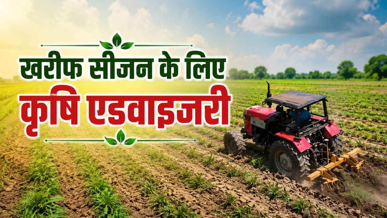 शुरुआती बारिश के धोखे में ना आएं किसान, 4 इंच गहराई तक मिट्टी में नमी का इंतजार करें