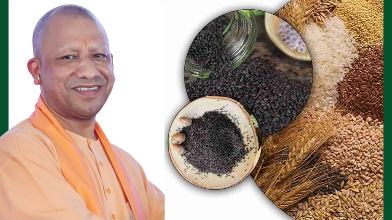 Seed Supply: किसानों को मिले धान, दलहन-तिलहन फसलों के उन्नत बीज, 93 फीसदी टारगेट पूरा   